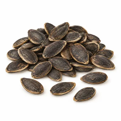 watermelon seed