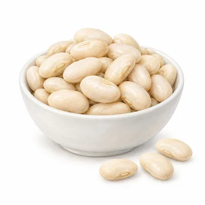 white bean