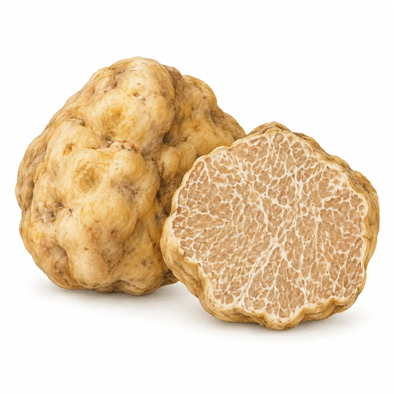 truffe blanche