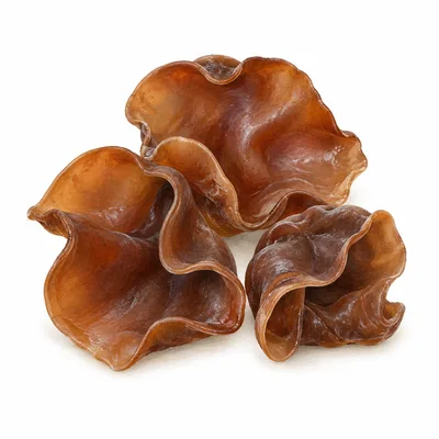 seta oreja de madera
