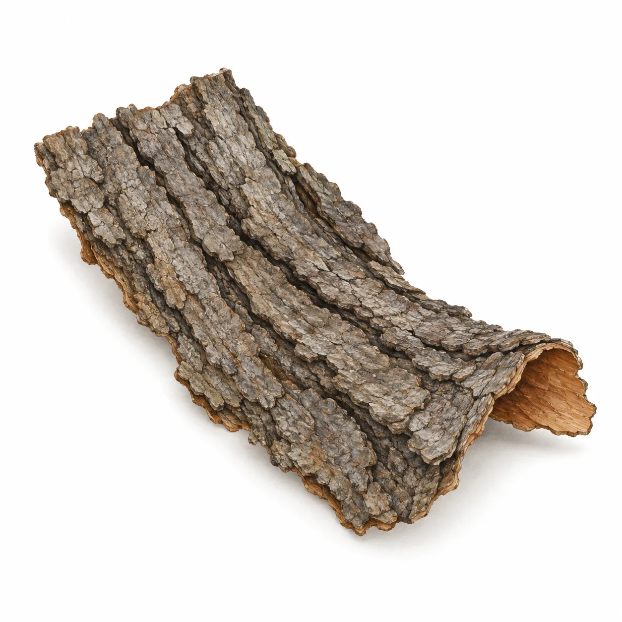 bark