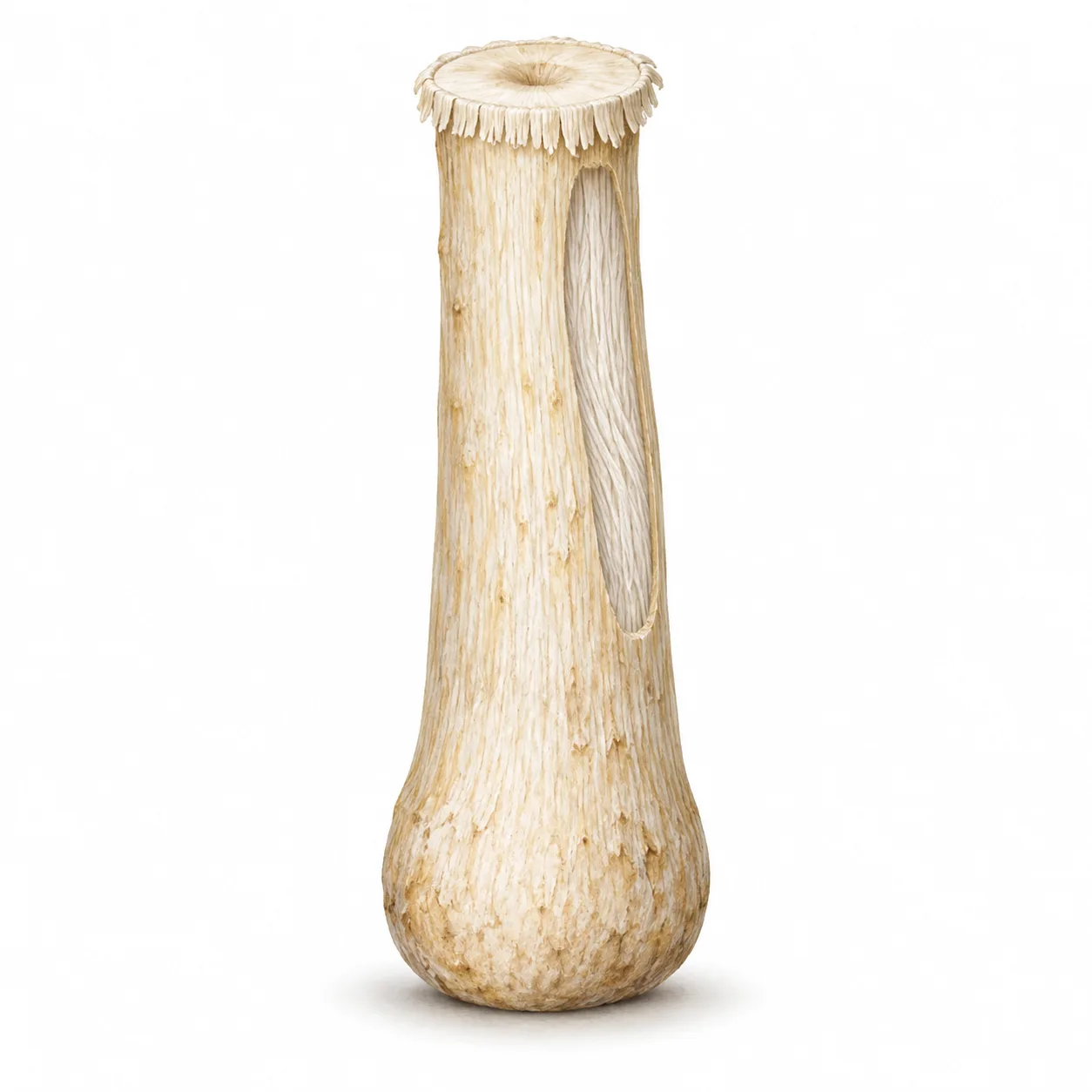 mushroom stalk
