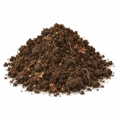 soil