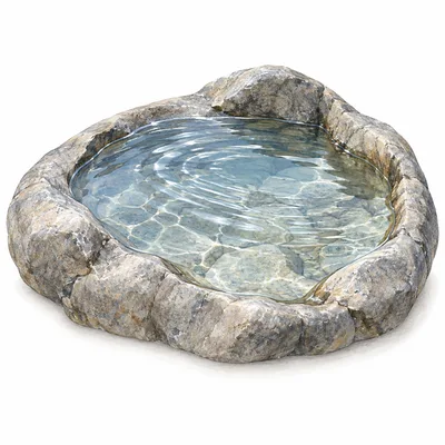 Wasser