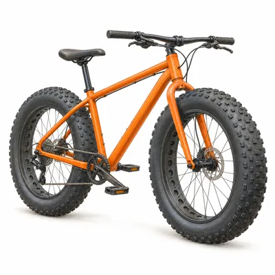 fatbike