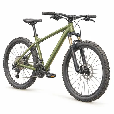 mountain bike