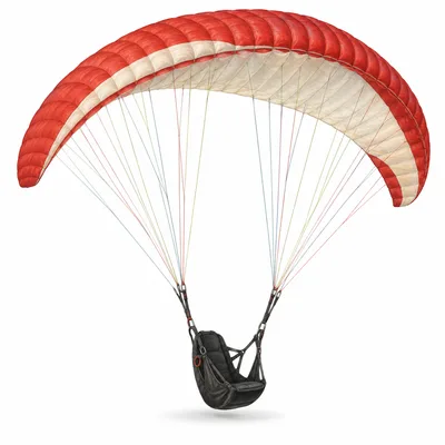 paraglider